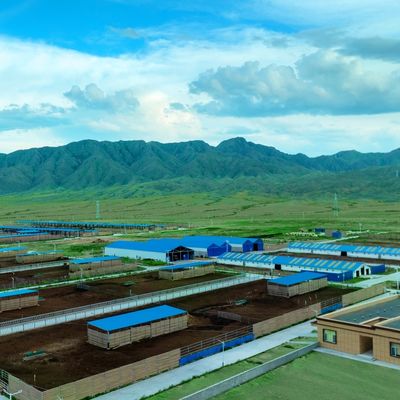 Estructura de acero prefabricada modular para granja de vacas, edificio de acero con tratamiento de superficie duradero y larga vida útil