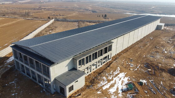 Casas de aves de corral prefabricadas con estructura moderna de acero para gallinas ponedoras