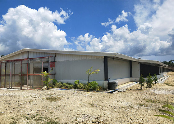 Estructura de acero para granja avícola con aislamiento de lana de vidrio