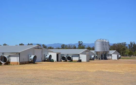 Fabricación de estructuras prefabricadas de acero de planta única para edificios de almacenes