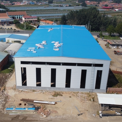 Estructura de Almacén de Acero de Gran Espacio para Edificios Logísticos