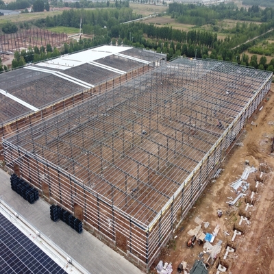 Almacén de estructura de acero de 100 m con grúas aéreas de 5T