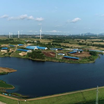 Cobertizo de acero galvanizado para ganado vacuno lechero y de carne con una vida útil de más de 20 años