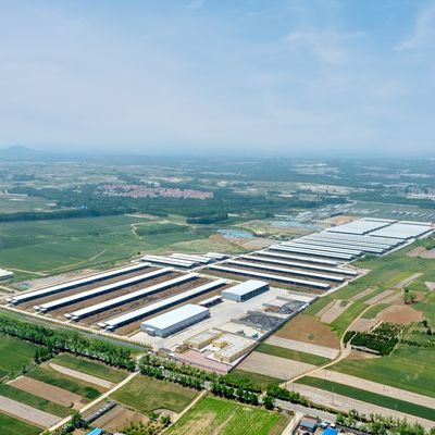 Diseño Suministro Moderno Estructura de Acero Cobertizo de Granja Lechera de Metal Cobertizo para Ganado con Sistema de Ventilación