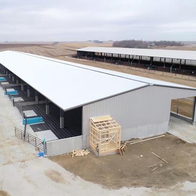 Estructura de acero prefabricado galvanizado Granja de ganado lechero