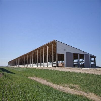 Edificios prefabricados Casa de aves de corral Estructura de acero Casa de granja de aves de corral Cuadro de construcción de acero para el cobertizo