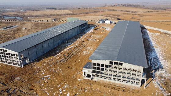 Casas de aves de corral prefabricadas con estructura moderna de acero para gallinas ponedoras