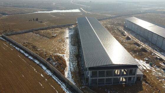 Casas de aves de corral prefabricadas con estructura moderna de acero para gallinas ponedoras