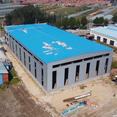 Hangar de estructura de acero de trabajo pesado con sistema de grúa aérea