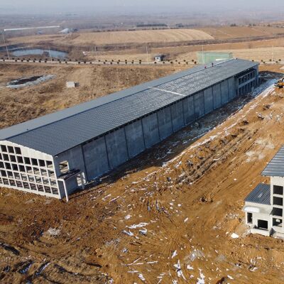 Construcción prefabricada de acero aislado Casa de aves de corral para granjas de capas